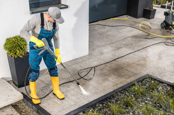 Best Roof Pressure Washing  in Morenci, MI