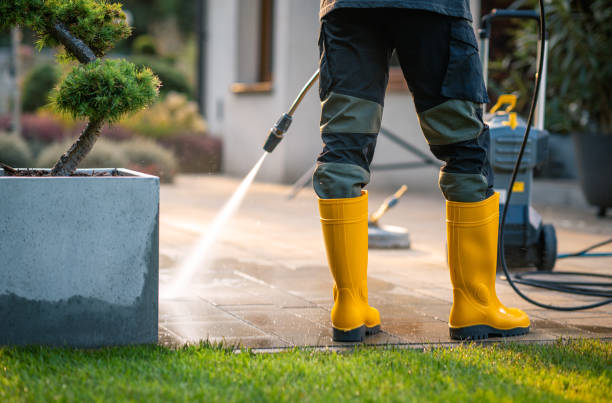 Best Pressure Washing Near Me  in Morenci, MI